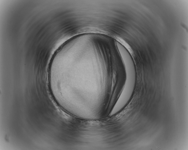 X0000096691144200803041255