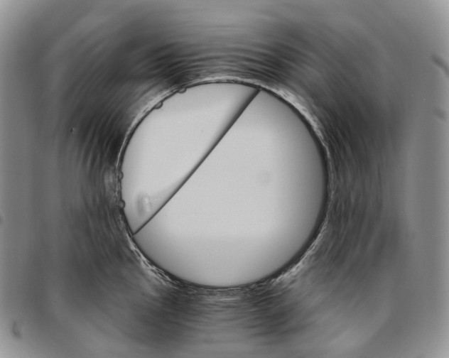 X0000096691145200803041255