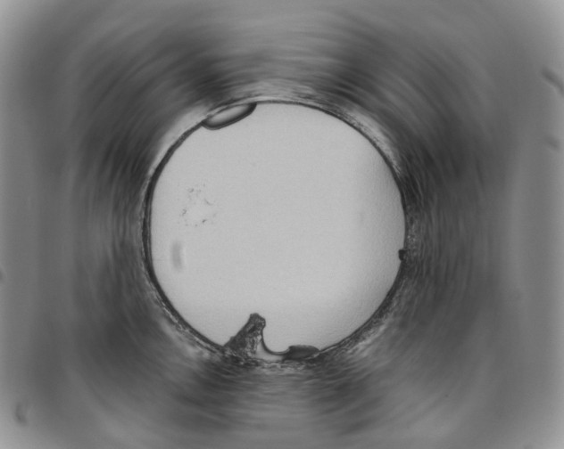 X0000096691146200803041255