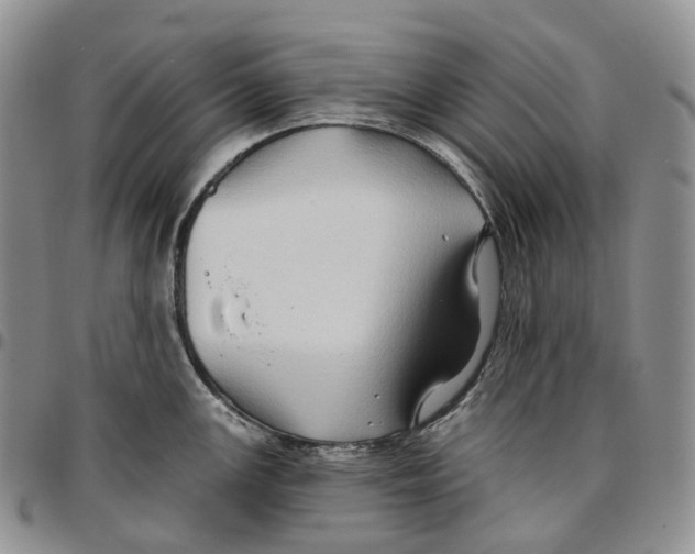 X0000096691147200803041255