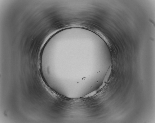 X0000096691148200803041255