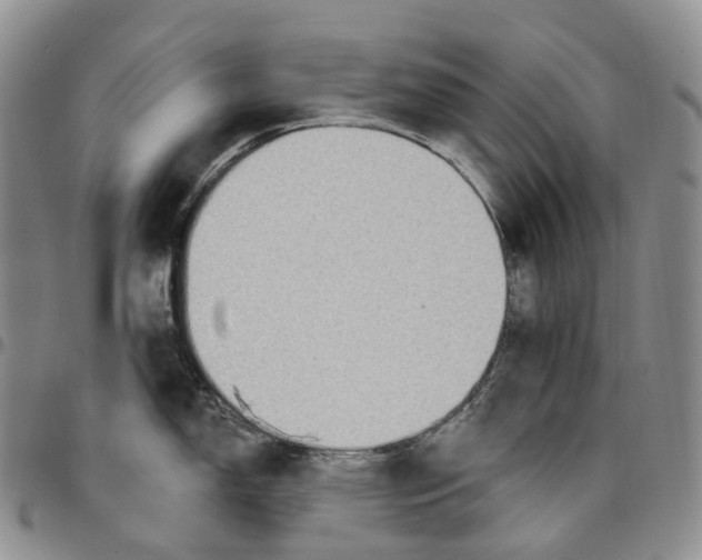 X0000096691150200803041255