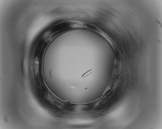 X0000096691151200803041255