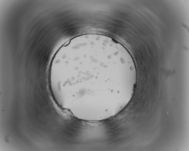 X0000096691152200803041255