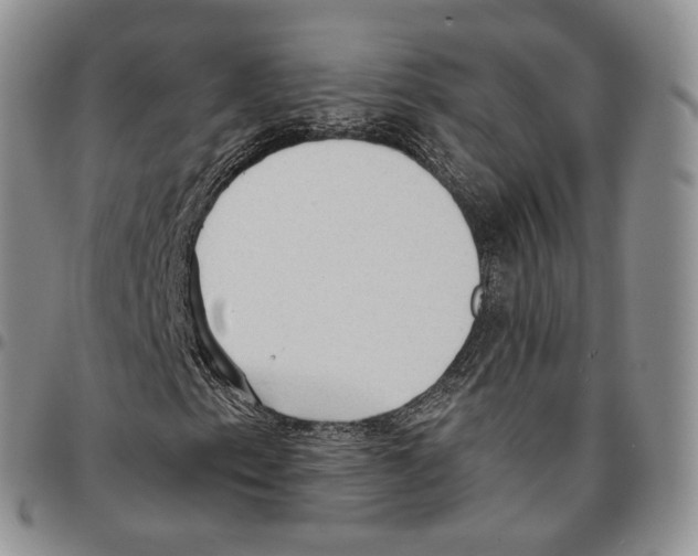 X0000096691153200803041255