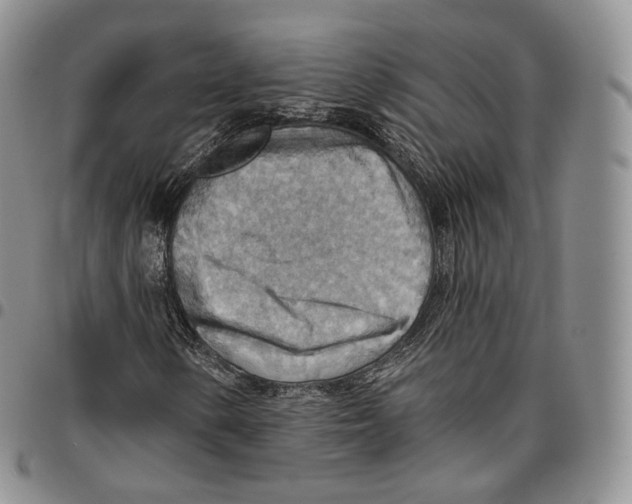 X0000096691154200803041255