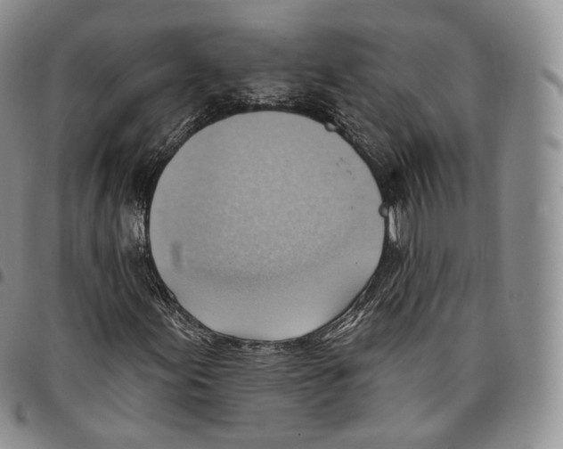 X0000096691155200803041255