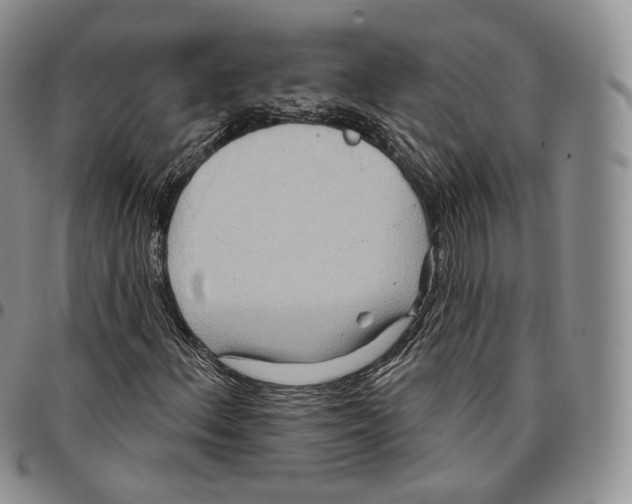 X0000096691156200803041255