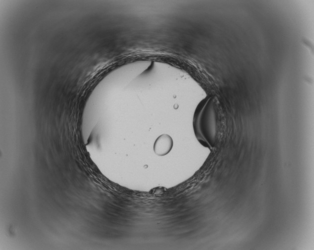 X0000096691157200803041255