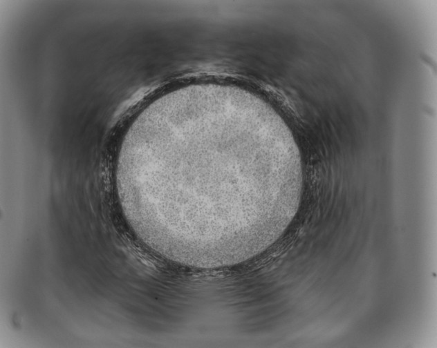 X0000096691159200803041255