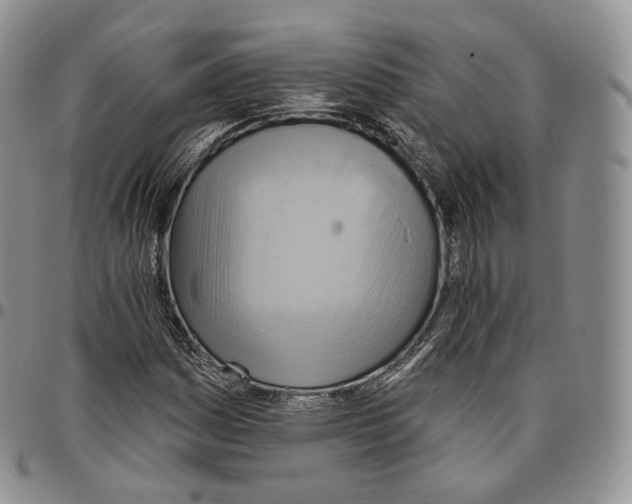 X0000096691161200803041255