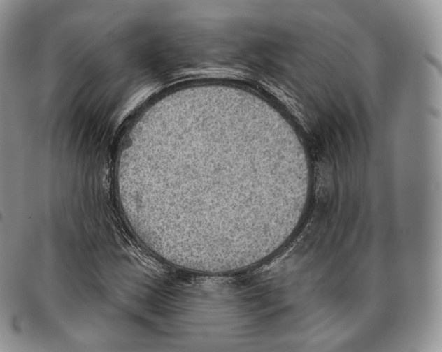 X0000096691163200803041255