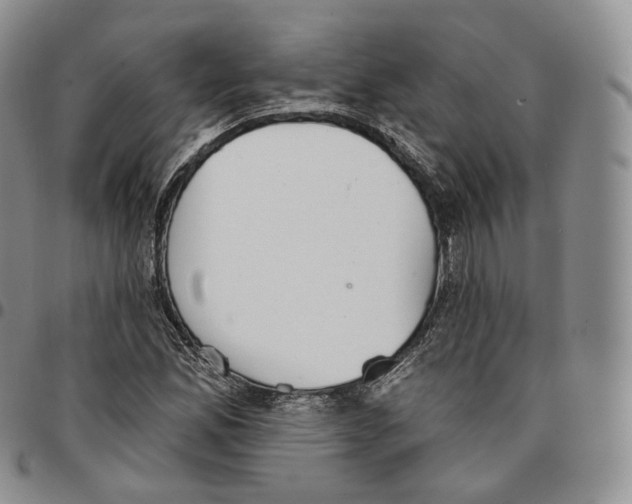 X0000096691165200803041255