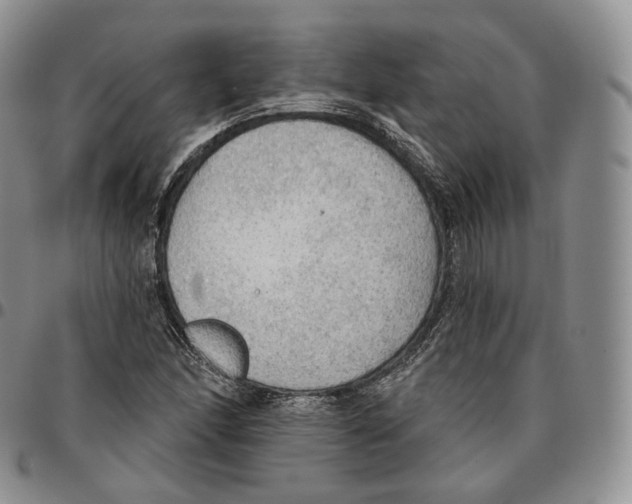 X0000096691166200803041255