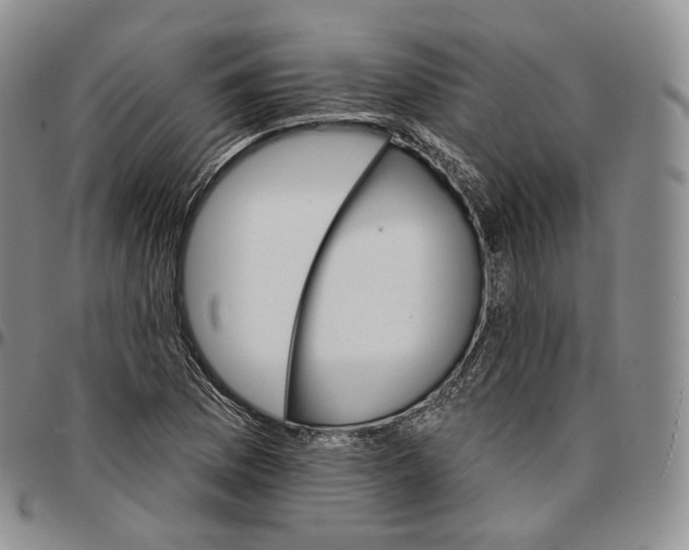 X0000096691169200803041255