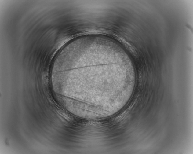 X0000096691170200803041255