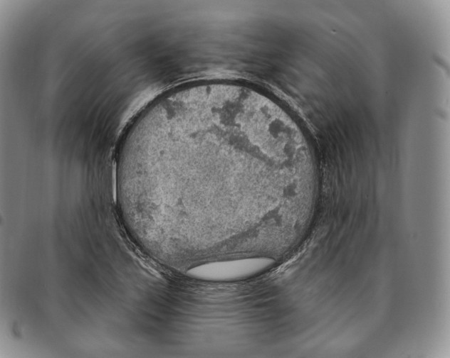 X0000096691171200803041255