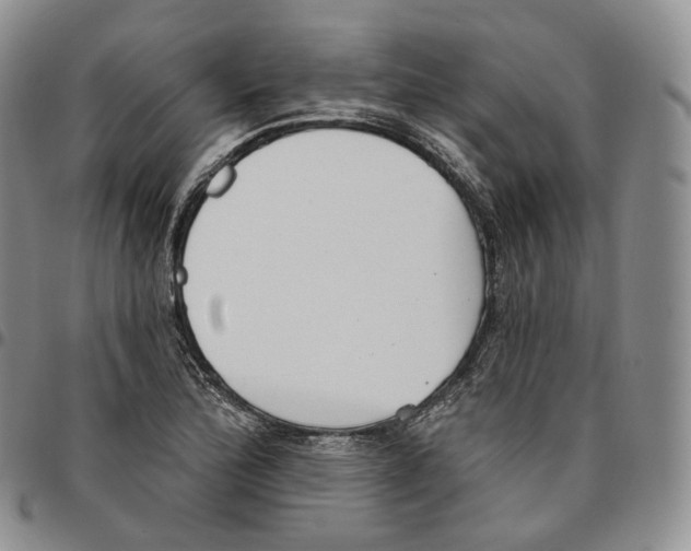 X0000096691172200803041255