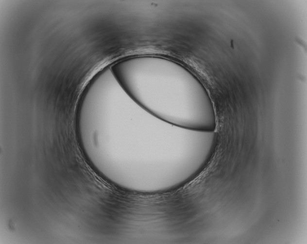 X0000096691173200803041255