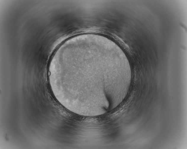 X0000096691174200803041255