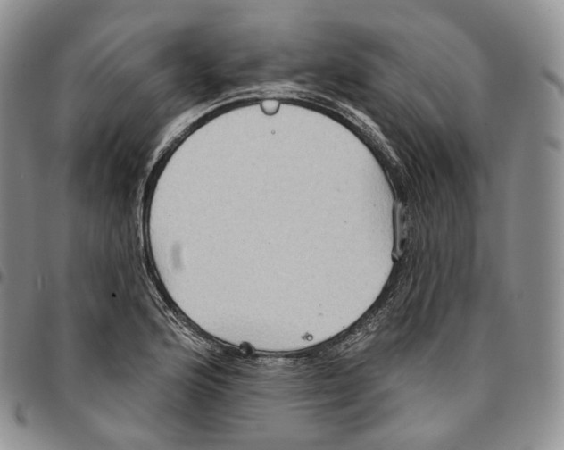 X0000096691176200803041255