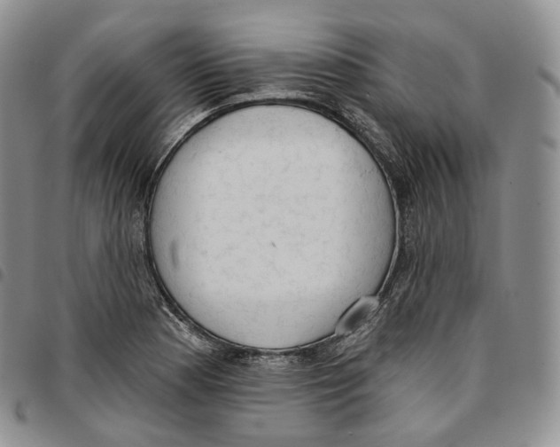 X0000096691177200803041255