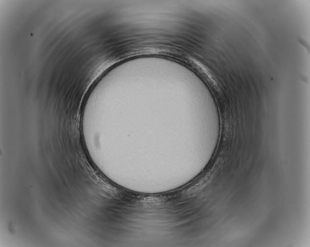 X0000096691178200803041254