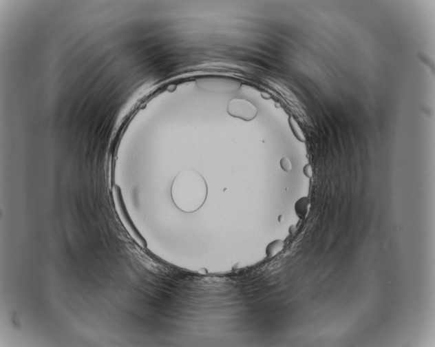 X0000096691180200803041254