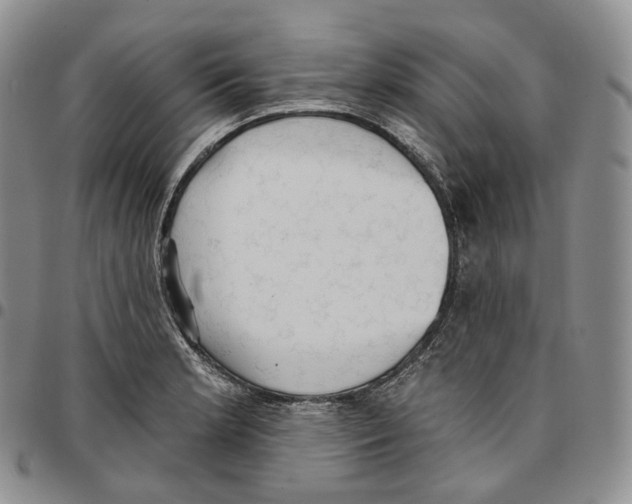 X0000096691181200803041254