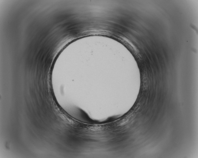 X0000096691182200803041254