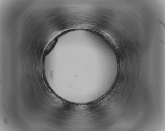 X0000096691184200803041254