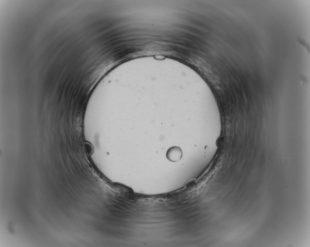 X0000096691185200803041254