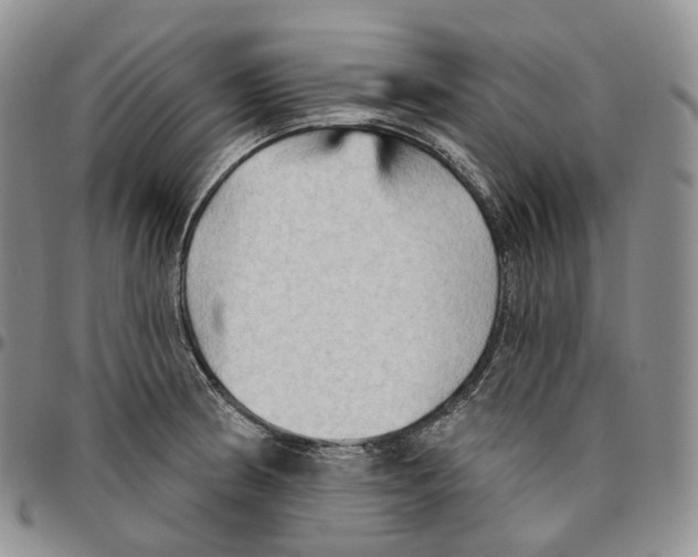 X0000096691186200803041254