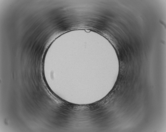 X0000096691187200803041254