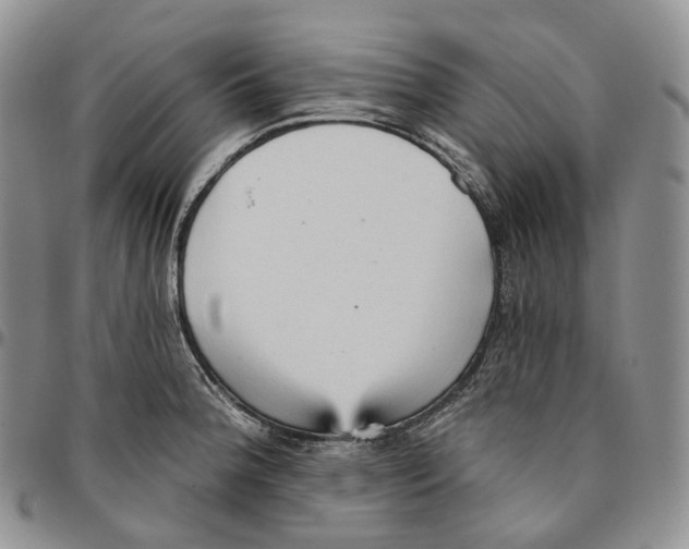 X0000096691188200803041254