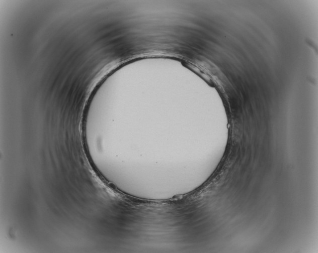 X0000096691189200803041254