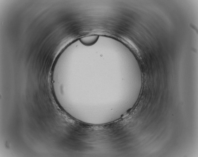 X0000096691190200803041254