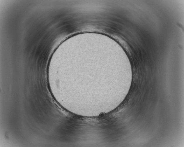 X0000096691191200803041254