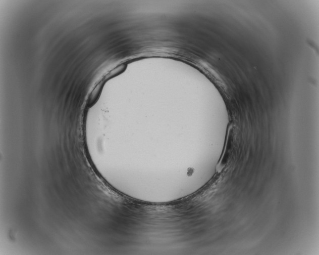 X0000096691192200803041254