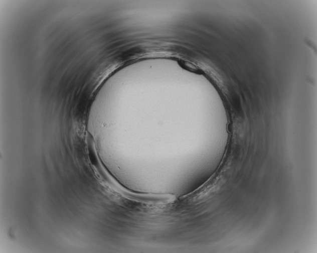 X0000096691193200803041254