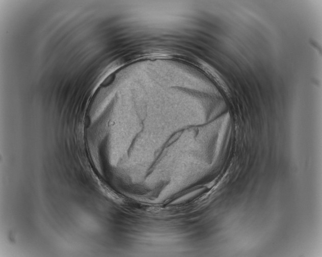 X0000096691194200803041254