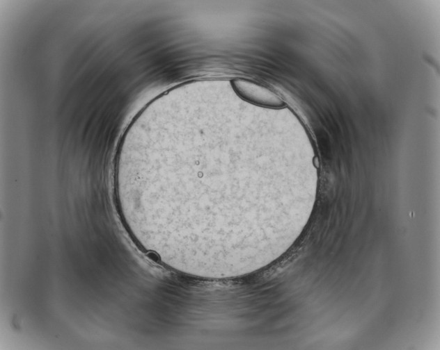 X0000096691195200803041254