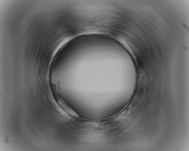 X0000096691197200803041254