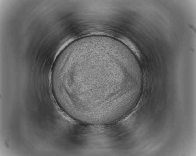 X0000096691198200803041254