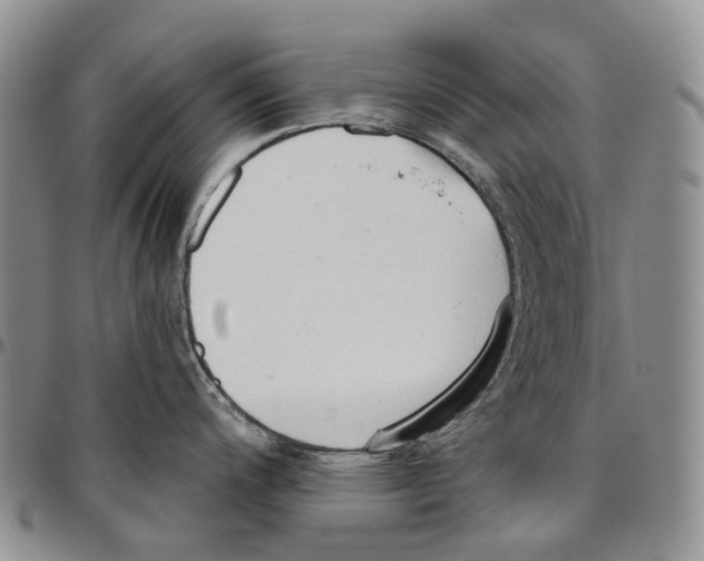 X0000096691200200803041254