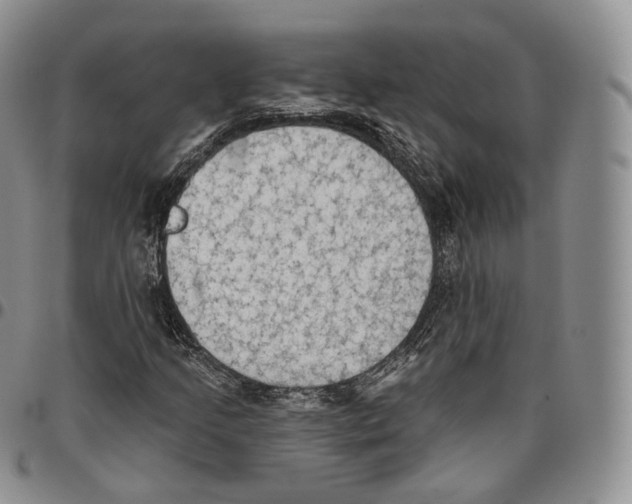 X0000096691205200803041254