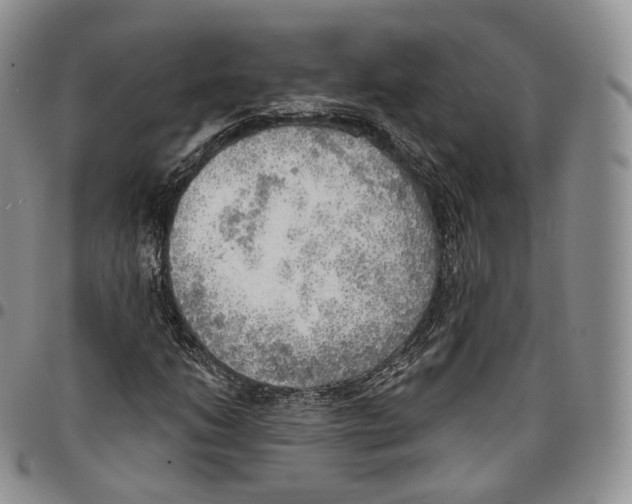 X0000096691206200803041254