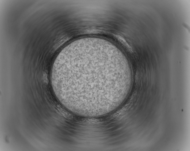 X0000096691209200803041254