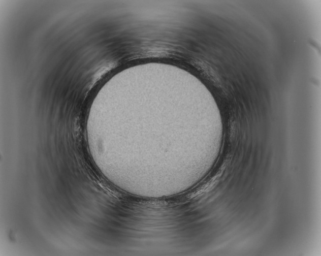 X0000096691210200803041254