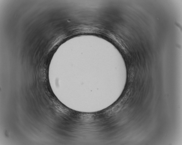 X0000096691211200803041254